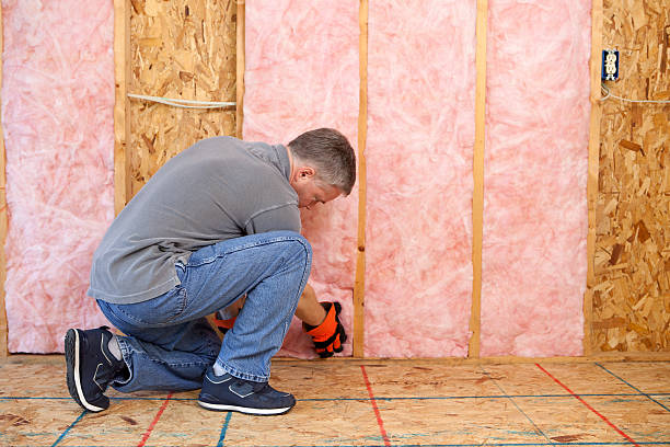 Eco-Friendly or Green Insulation Solutions in Granger, IA